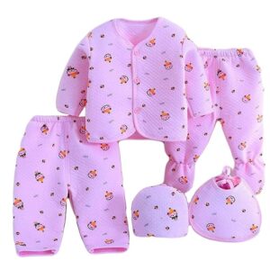 Pink baby 5 pcs dress set with bib Newborn baby girl clothes set pink color